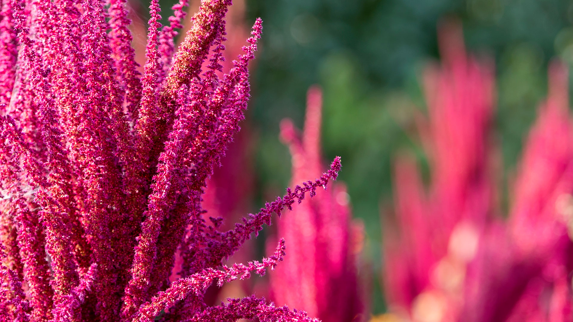 Beauty tech e skincare: come la tecnologia sta cambiando la  cura della pelle